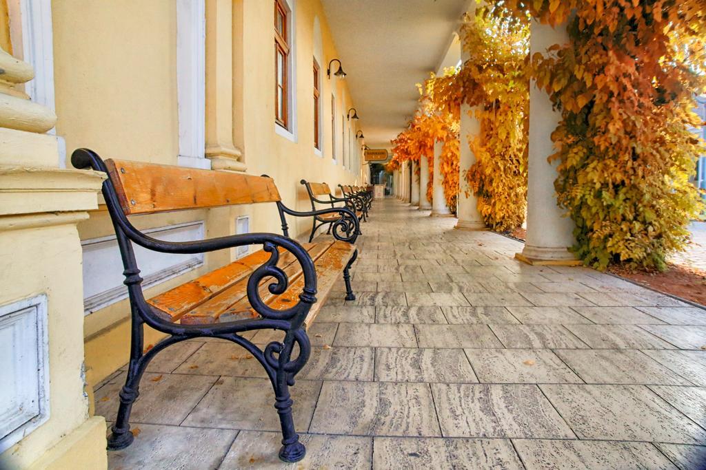 Ensana Pro Patria Hotel Piest'any Exterior photo